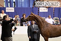 09r12-02622 proof