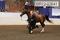 09r12-02641 proof