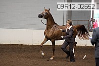 09r12-02652 proof