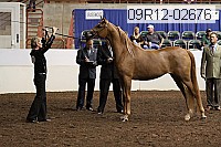 09r12-02676 proof