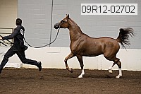 09r12-02702 proof