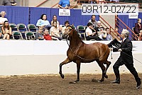 09r12-02722 proof