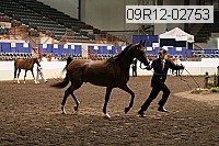 09r12-02753 proof