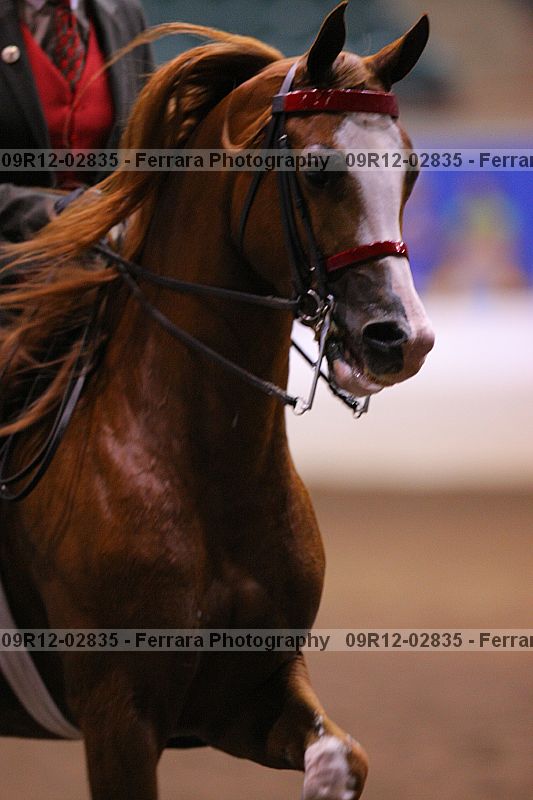 Proof 09r12-02835