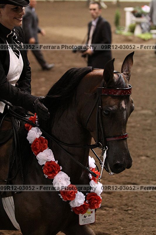Proof 09r12-03052