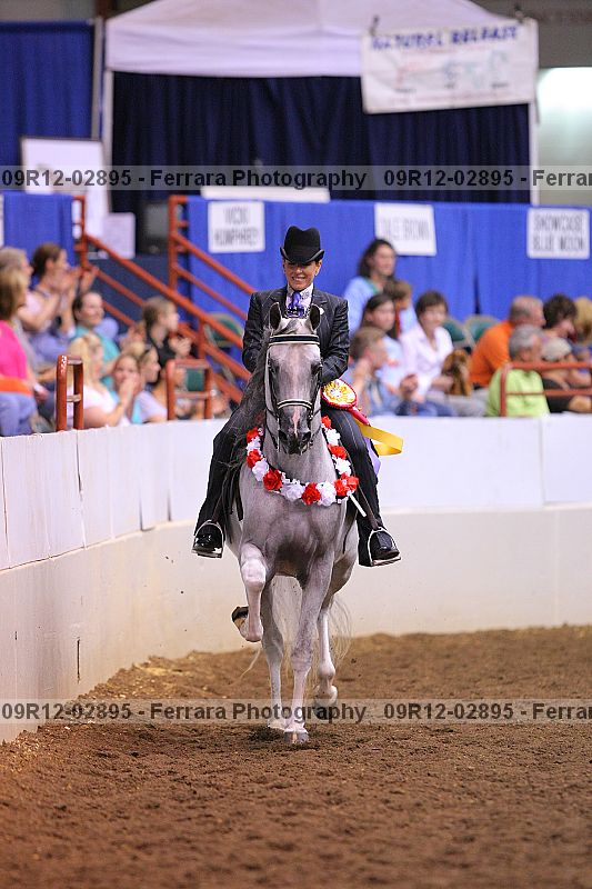 Proof 09r12-02895