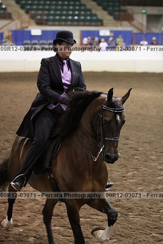 Proof 09r12-03071