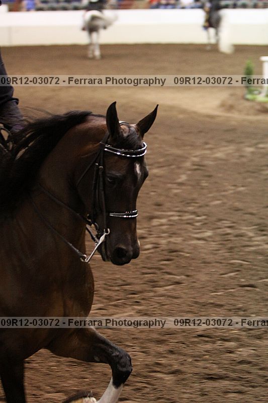 Proof 09r12-03072