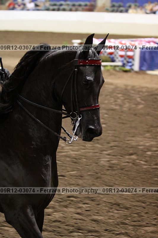 Proof 09r12-03074