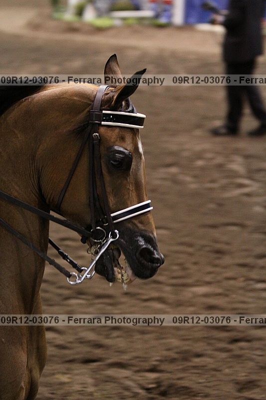 Proof 09r12-03076