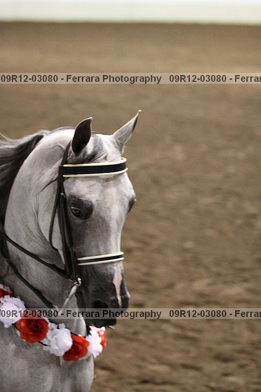 Proof 09r12-03080
