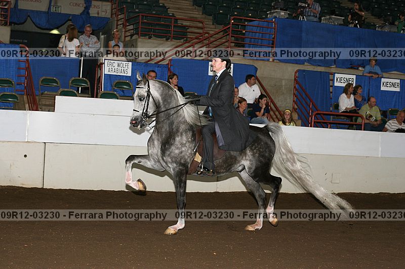 Proof 09r12-03230