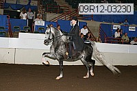 09r12-03230 proof