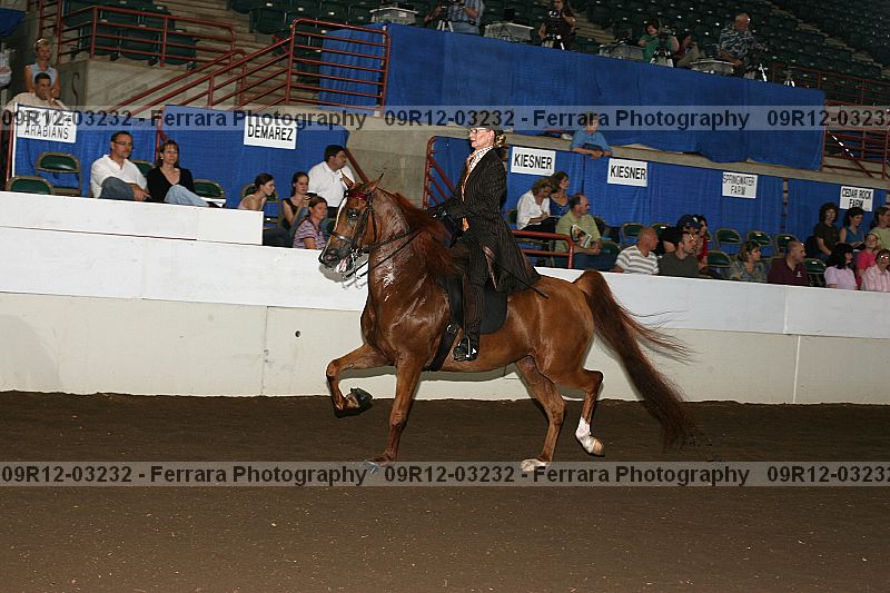 Proof 09r12-03232