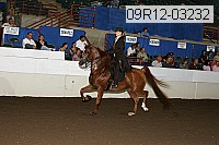 09r12-03232 proof