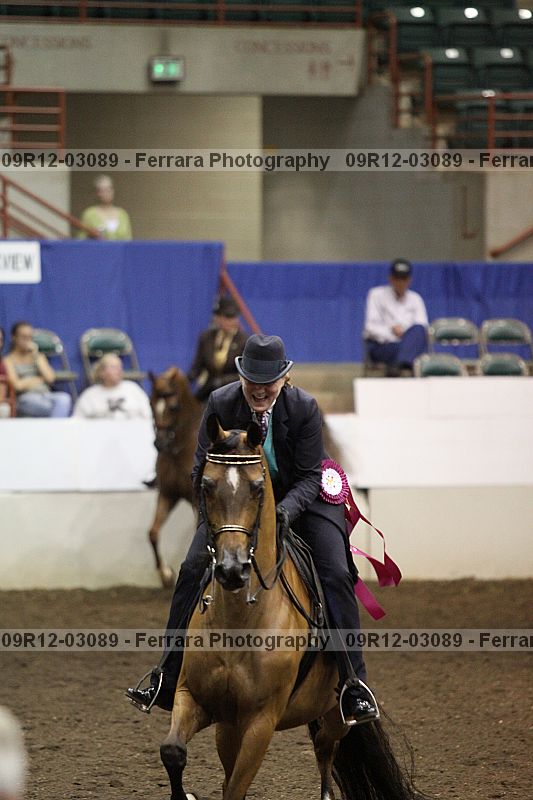 Proof 09r12-03089