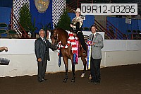 09r12-03285 proof