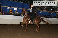 09r12-03293 proof