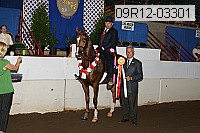 09r12-03301 proof