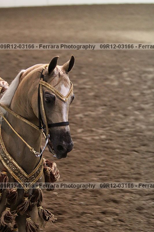 Proof 09r12-03166