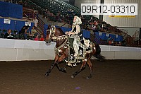 09r12-03310 proof