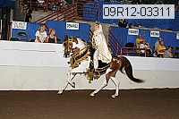 09r12-03311 proof