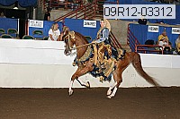09r12-03312 proof