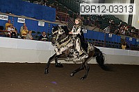 09r12-03313 proof