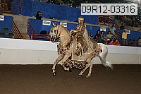 09r12-03316 proof