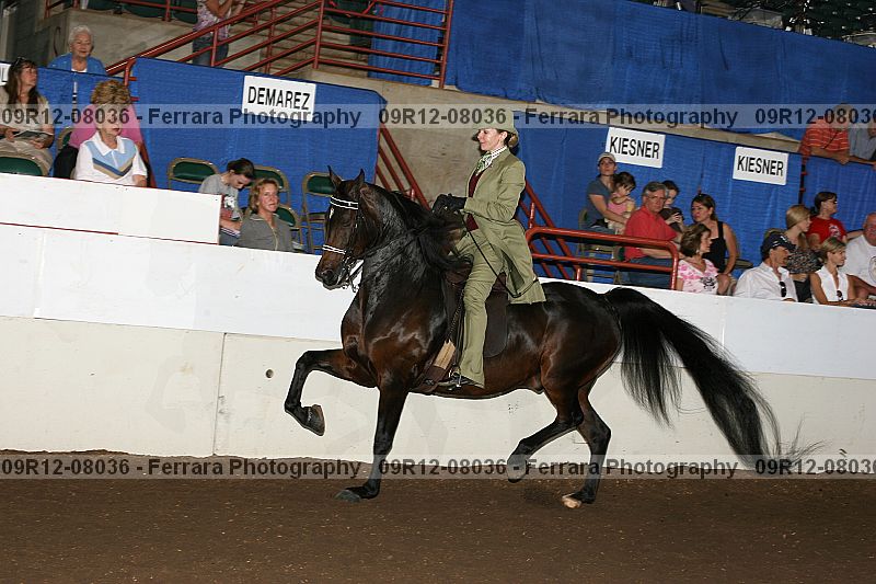 Proof 09r12-08036