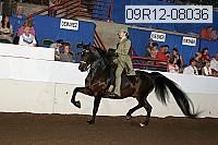 09r12-08036 proof