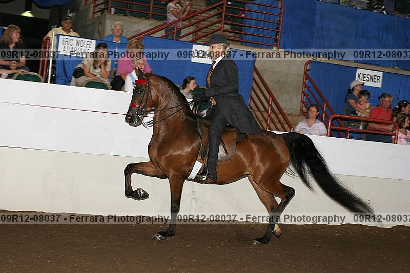 Proof 09r12-08037