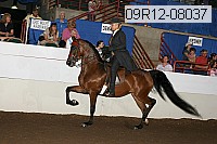 09r12-08037 proof
