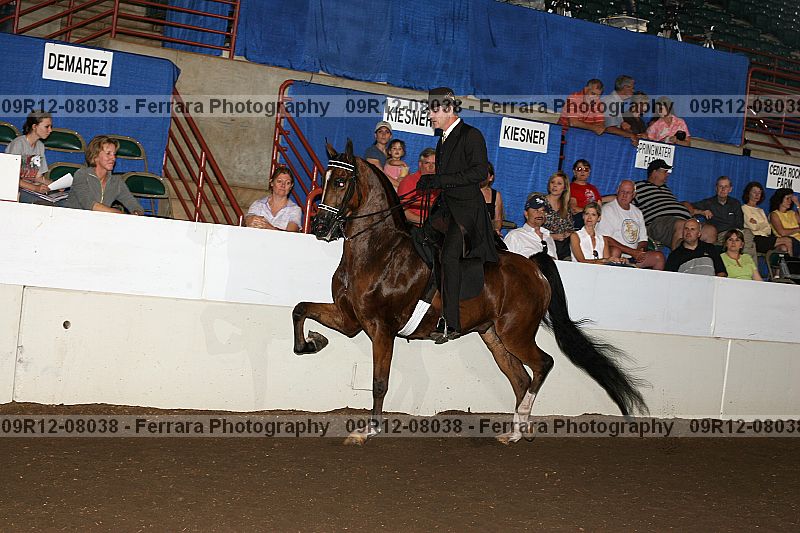 Proof 09r12-08038