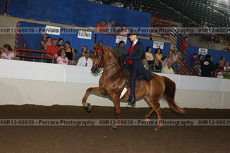 Proof 09r12-08039