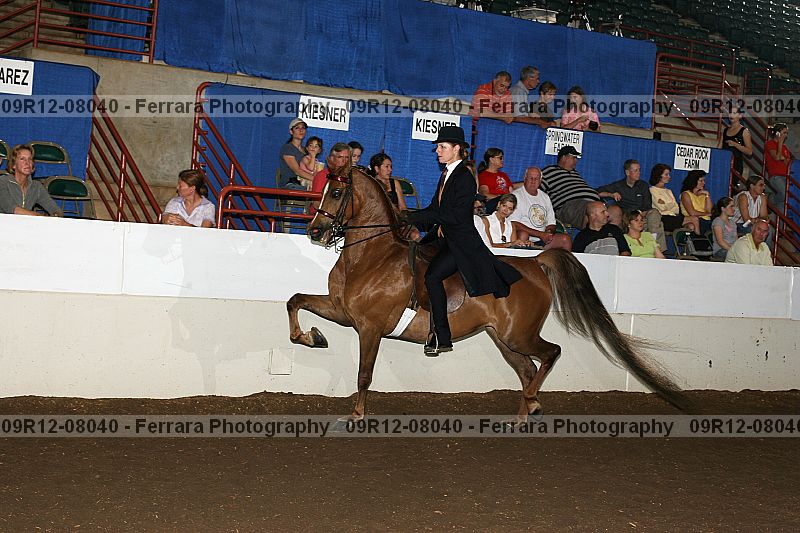 Proof 09r12-08040