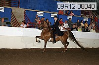 09r12-08040 proof