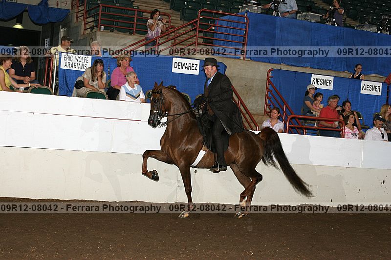 Proof 09r12-08042
