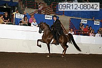 09r12-08042 proof
