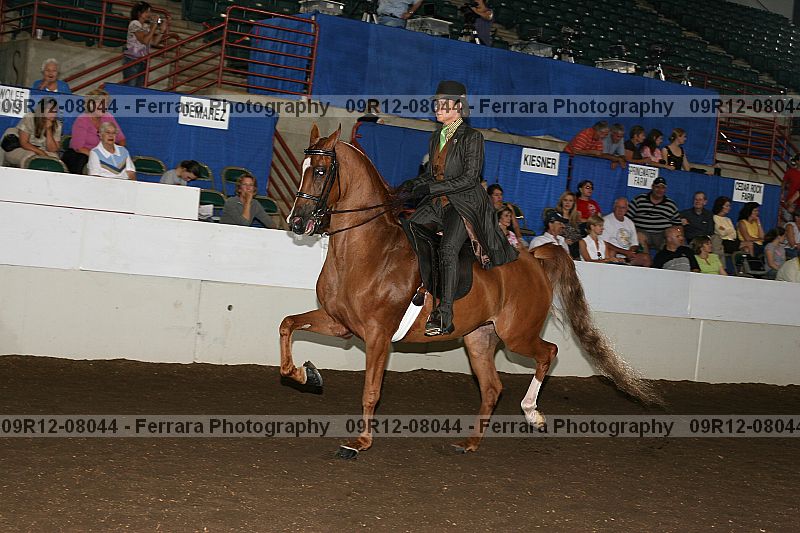 Proof 09r12-08044