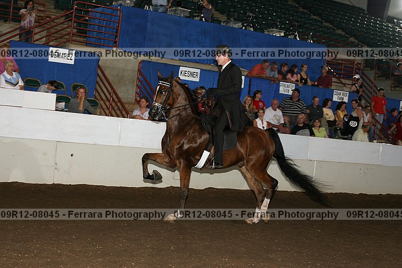 Proof 09r12-08045