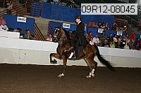 09r12-08045 proof