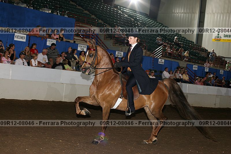 Proof 09r12-08046