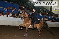 09r12-08046 proof