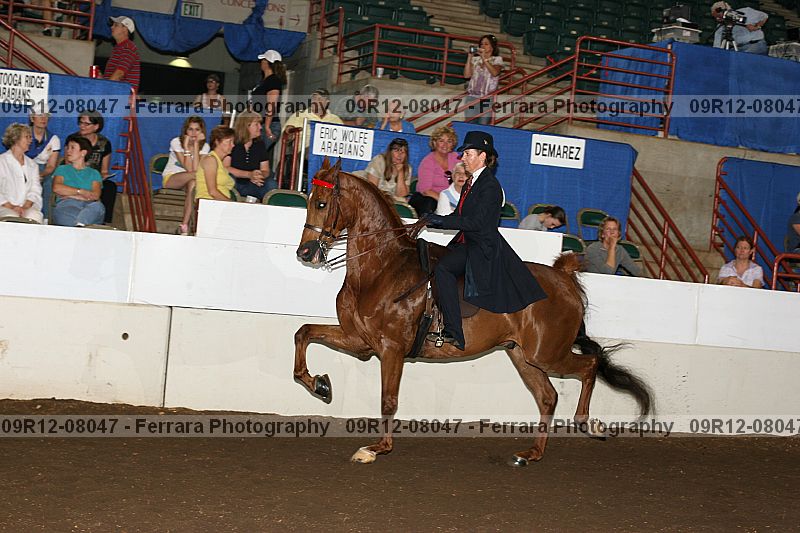 Proof 09r12-08047