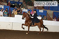 09r12-08047 proof