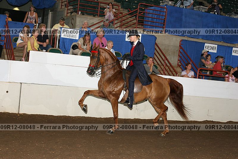 Proof 09r12-08048