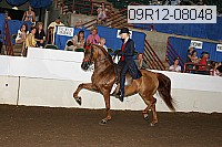 09r12-08048 proof