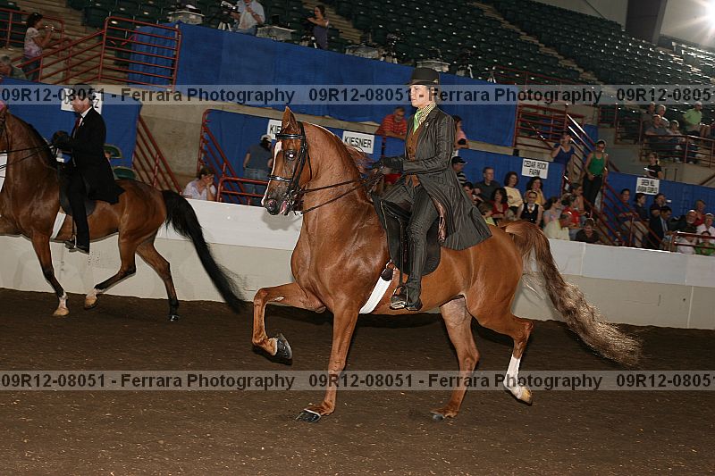 Proof 09r12-08051