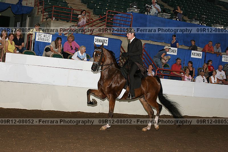 Proof 09r12-08052